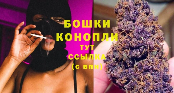 прущие крисы Новозыбков
