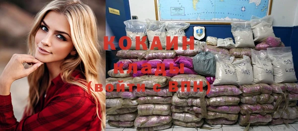 прущие крисы Новозыбков