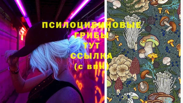 дистиллят марихуана Новокубанск